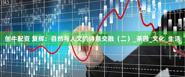 创牛配资 复辉：自然与人文的诗意交融（二）_茶园_文化_生活
